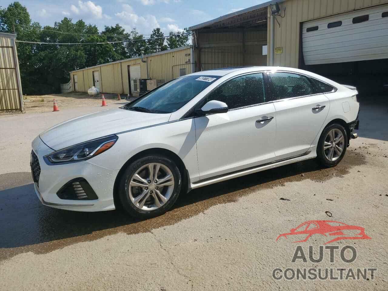HYUNDAI SONATA 2019 - 5NPE34AF0KH750172