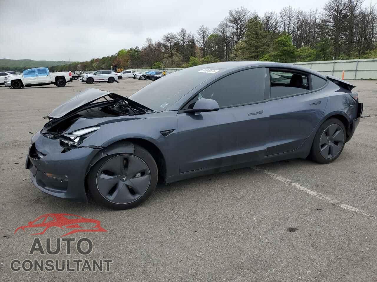 TESLA MODEL 3 2021 - 5YJ3E1EB9MF902491