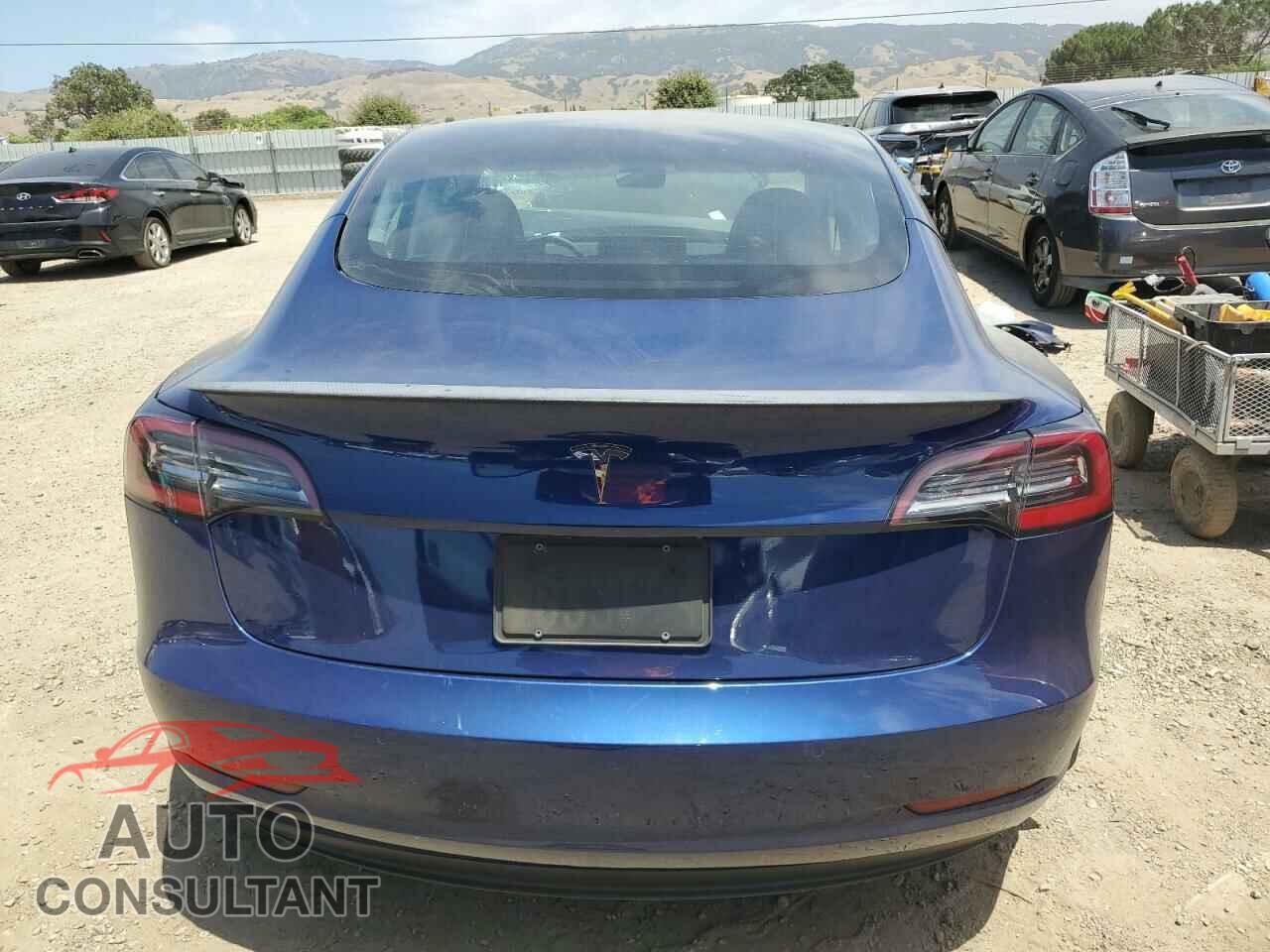 TESLA MODEL 3 2021 - 5YJ3E1EA8MF981062