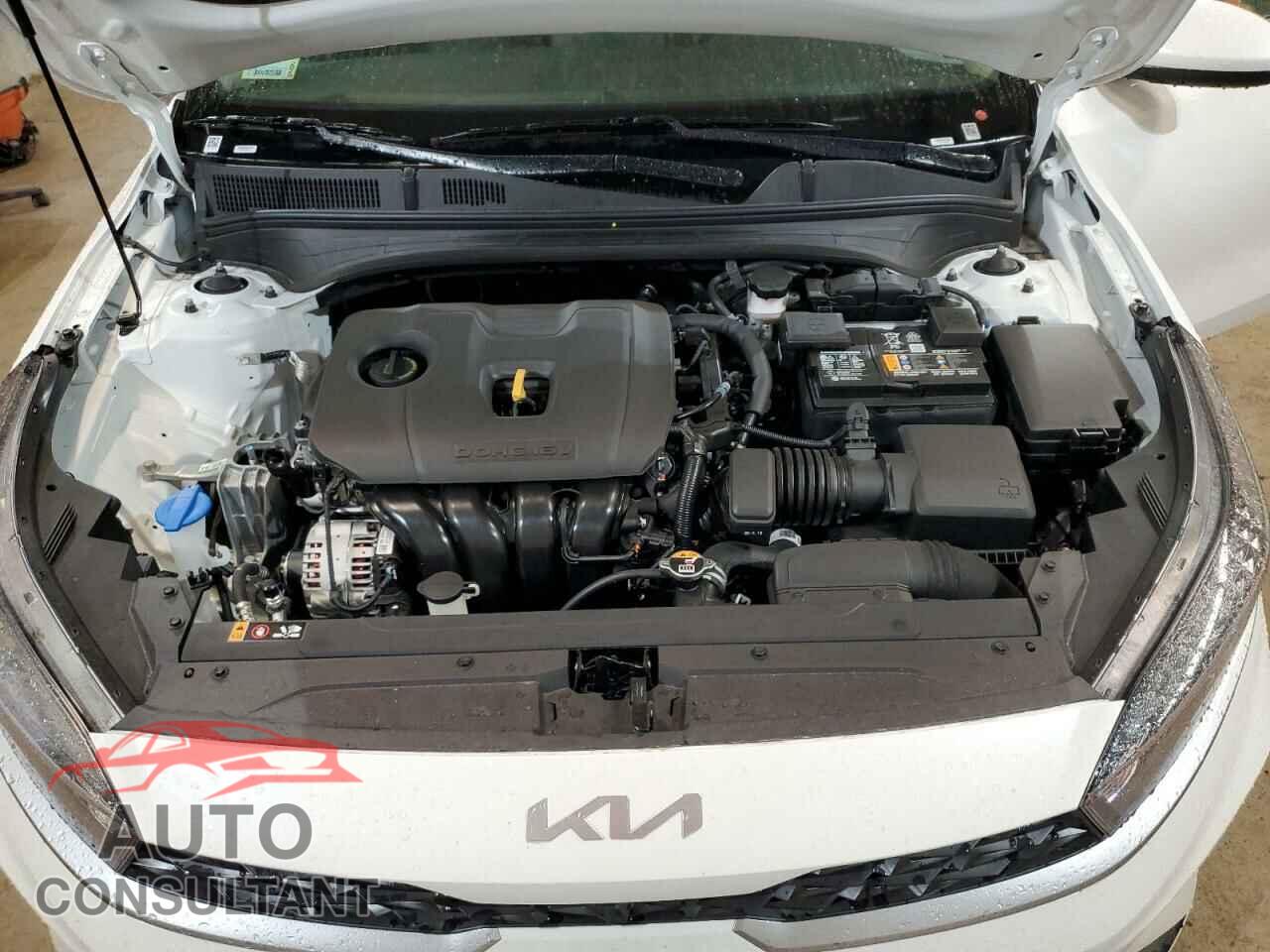 KIA FORTE 2024 - 3KPF24AD3RE774681