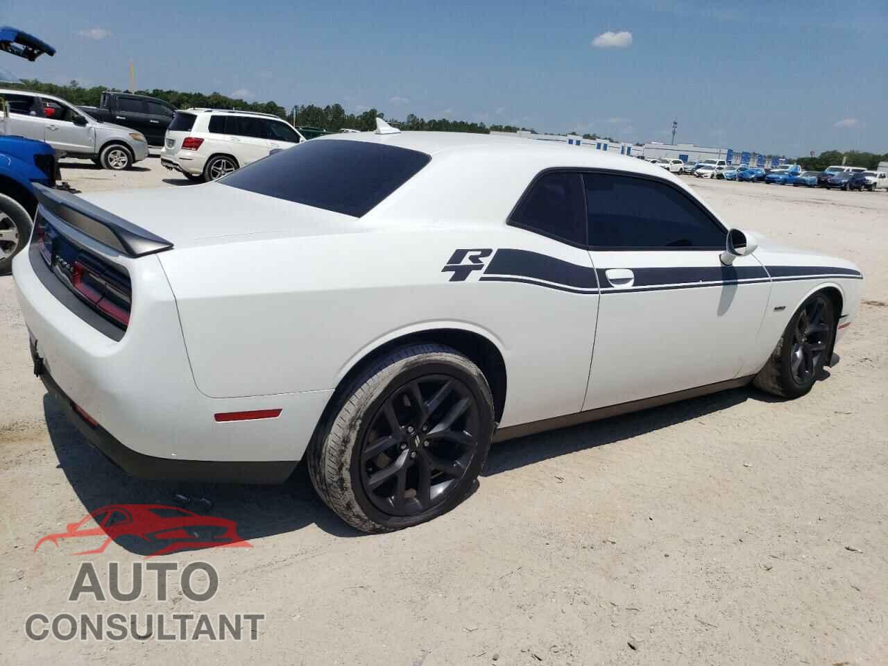 DODGE CHALLENGER 2019 - 2C3CDZBT6KH694886