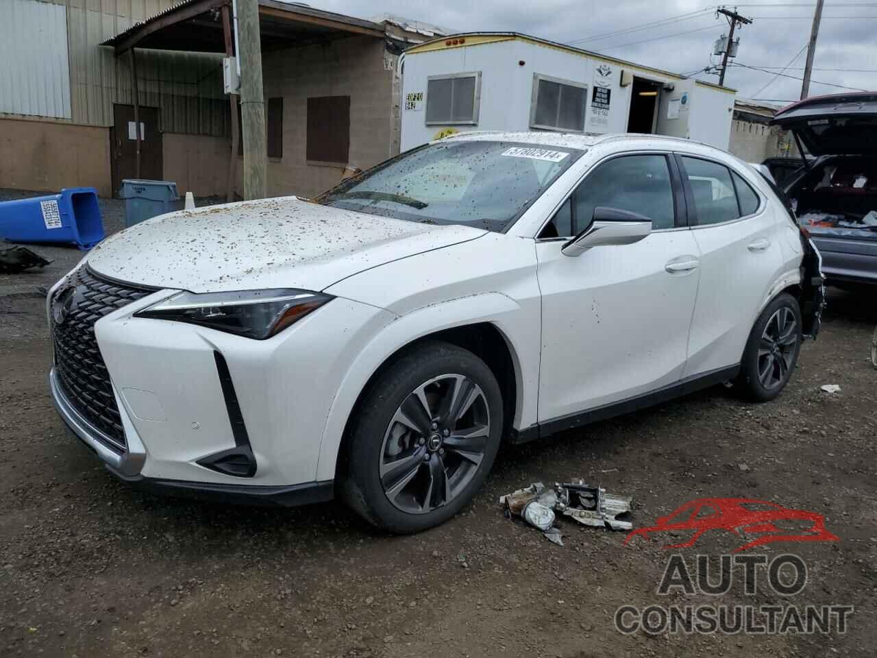 LEXUS UX 250H PR 2023 - JTHP9JBH3P2065550