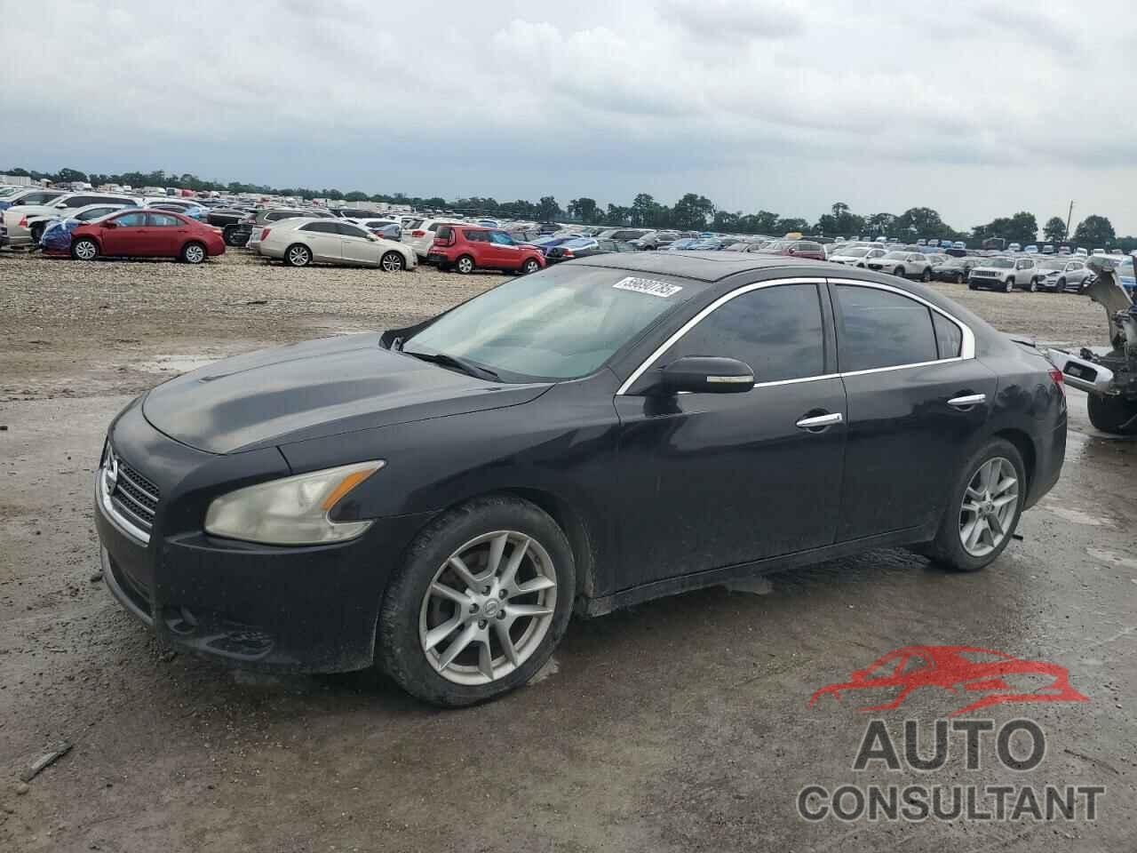 NISSAN MAXIMA 2010 - 1N4AA5AP6AC848139