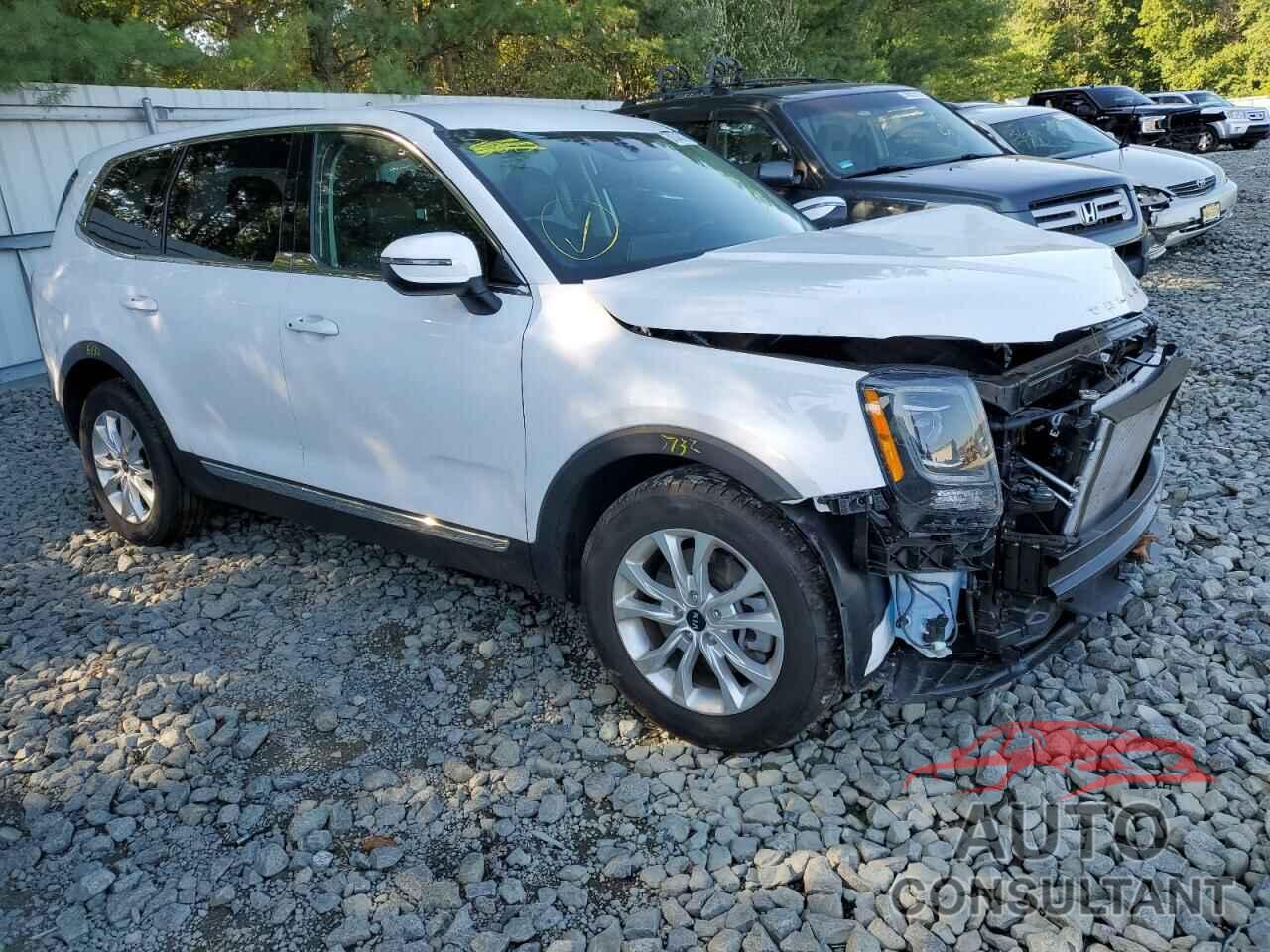 KIA TELLURIDE 2021 - 5XYP2DHC9MG184336