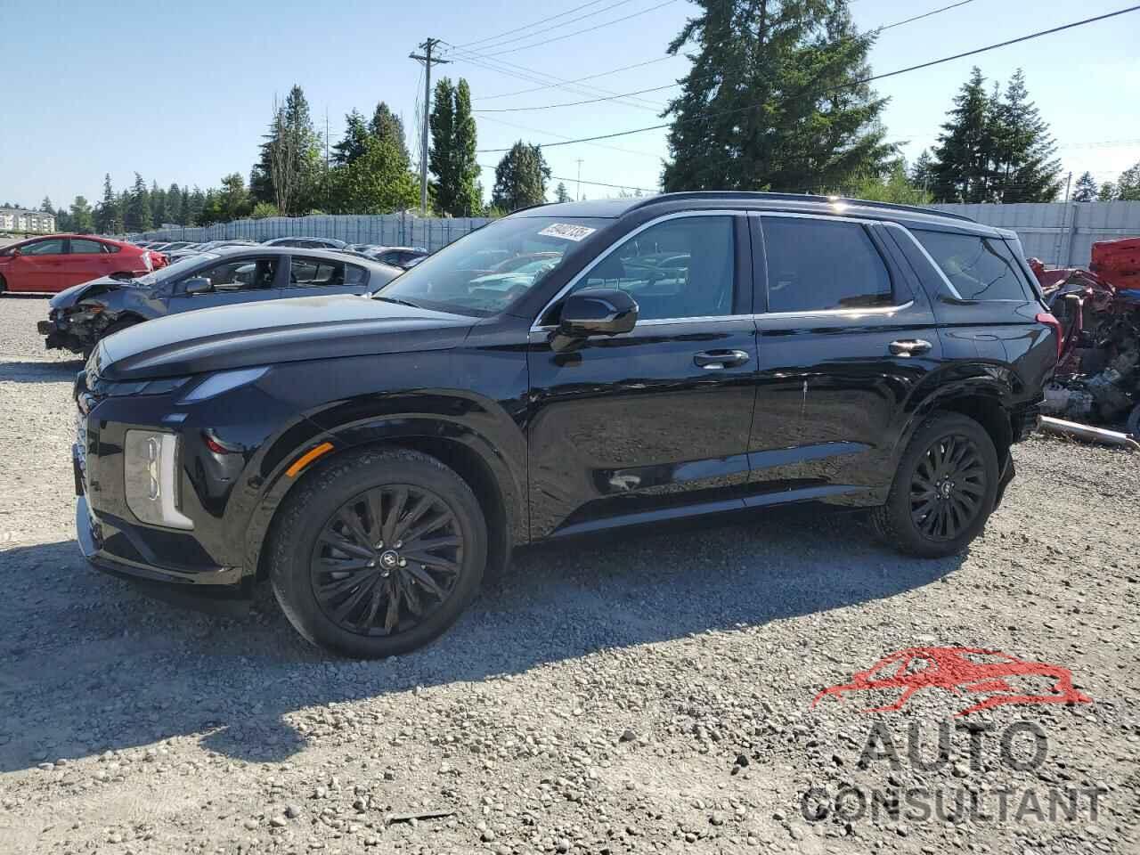 HYUNDAI PALISADE 2025 - KM8R7DGE7SU911560