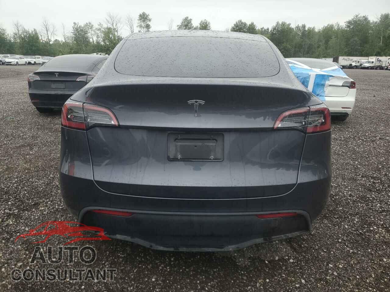 TESLA MODEL Y 2023 - LRWYGDFD2PC162377