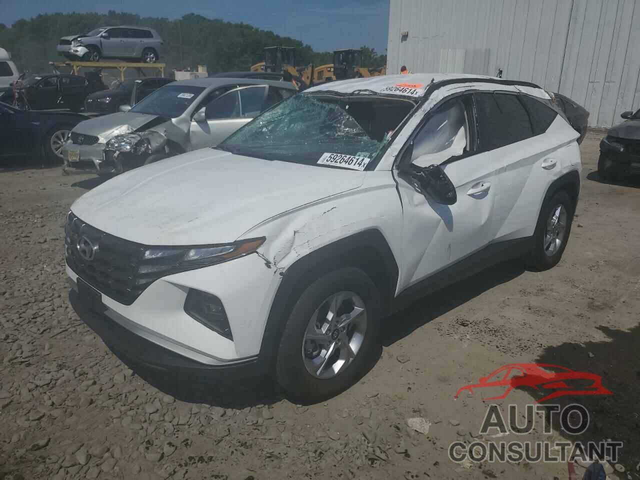 HYUNDAI TUCSON 2024 - 5NMJBCDE2RH319404