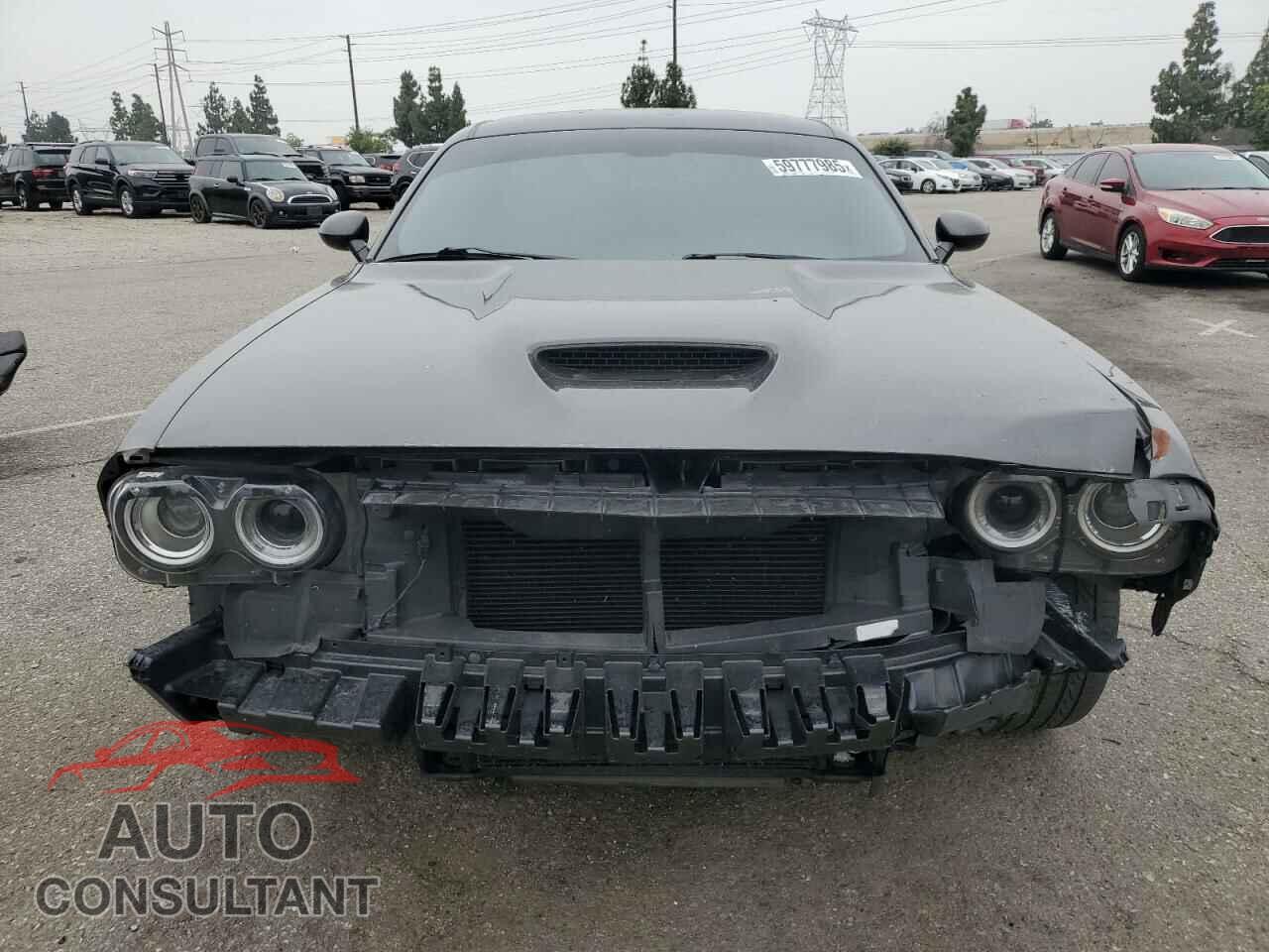 DODGE CHALLENGER 2019 - 2C3CDZBT4KH549538