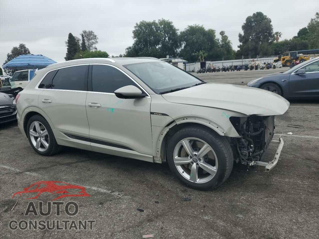 AUDI E-TRON 2019 - WA1VABGE2KB015679