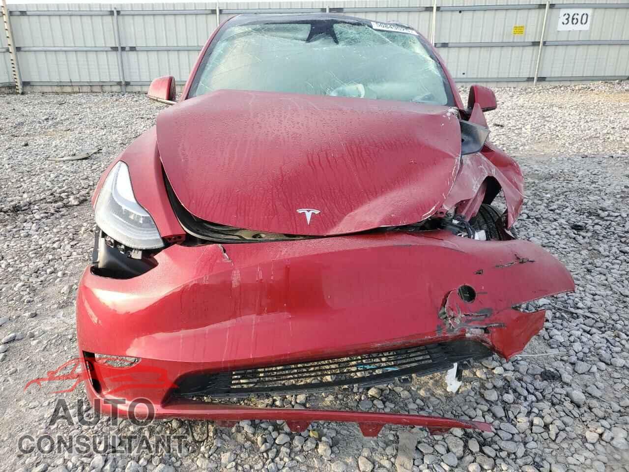 TESLA MODEL Y 2024 - 7SAYGDED2RA331985