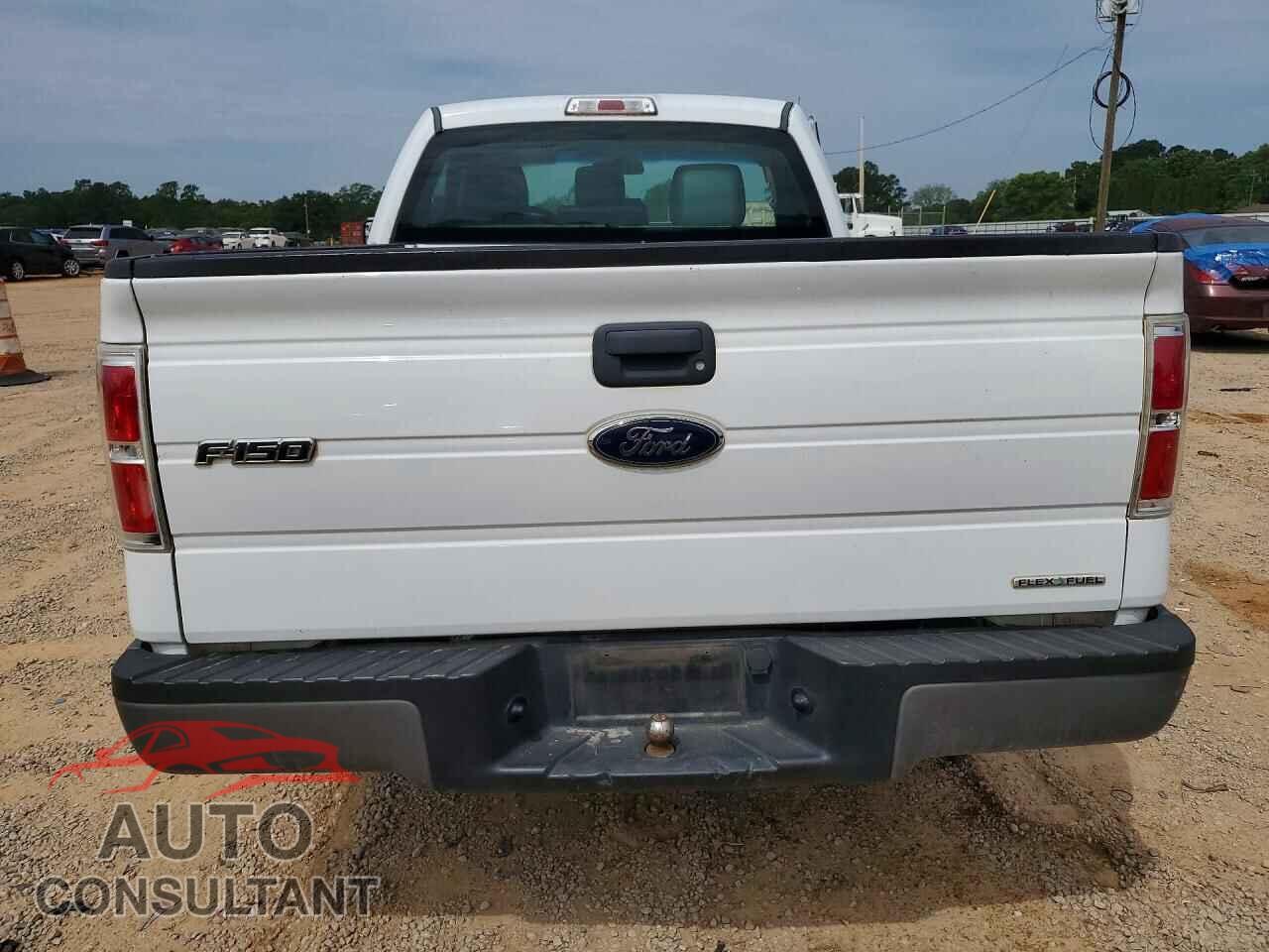 FORD F150 2013 - 1FTMF1CM7DFD30435