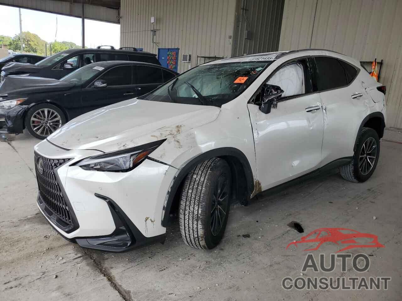LEXUS NX 250 PRE 2025 - JTJGDCAZ4S2015753