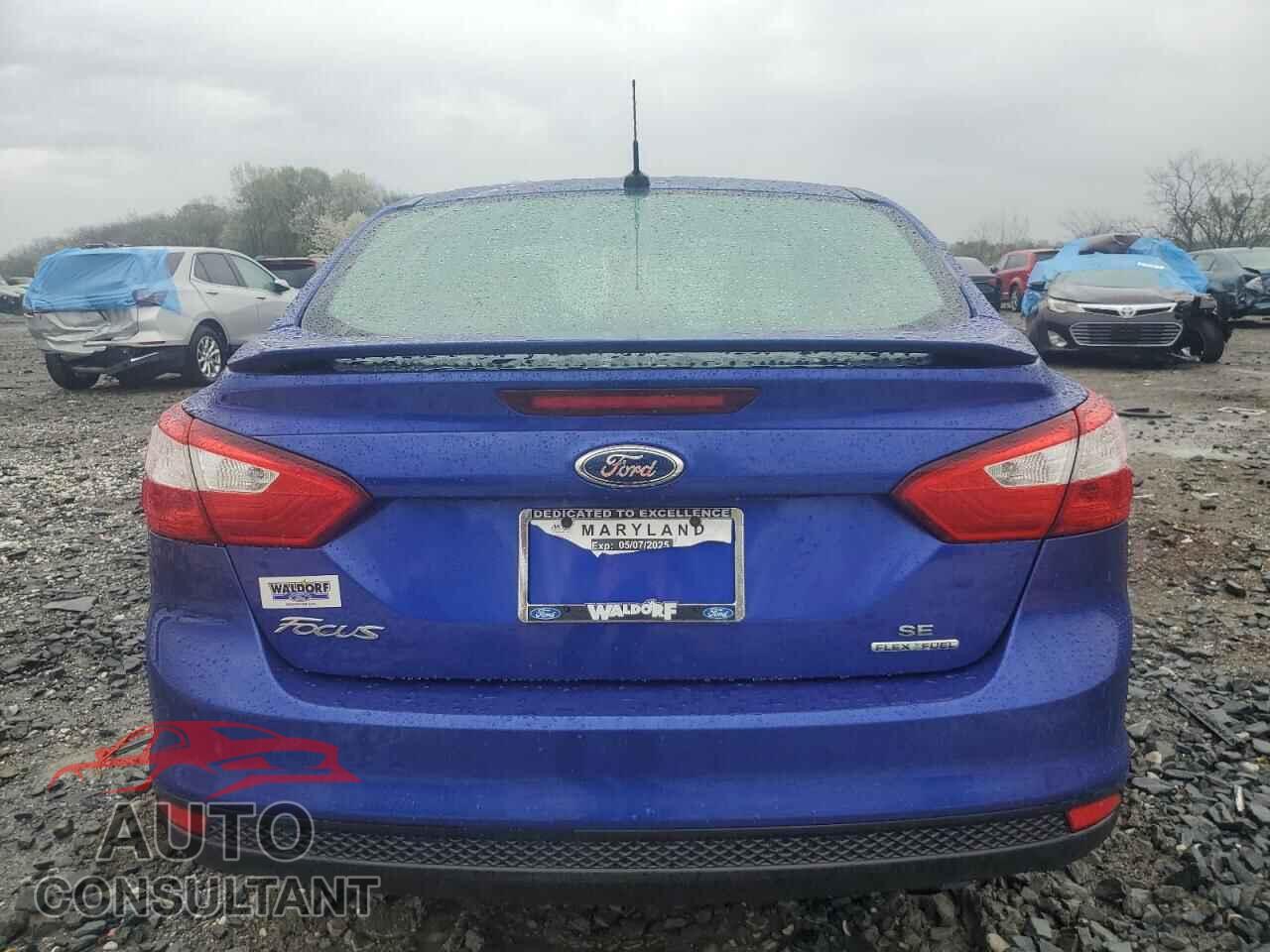 FORD FOCUS 2013 - 1FADP3F25DL332744