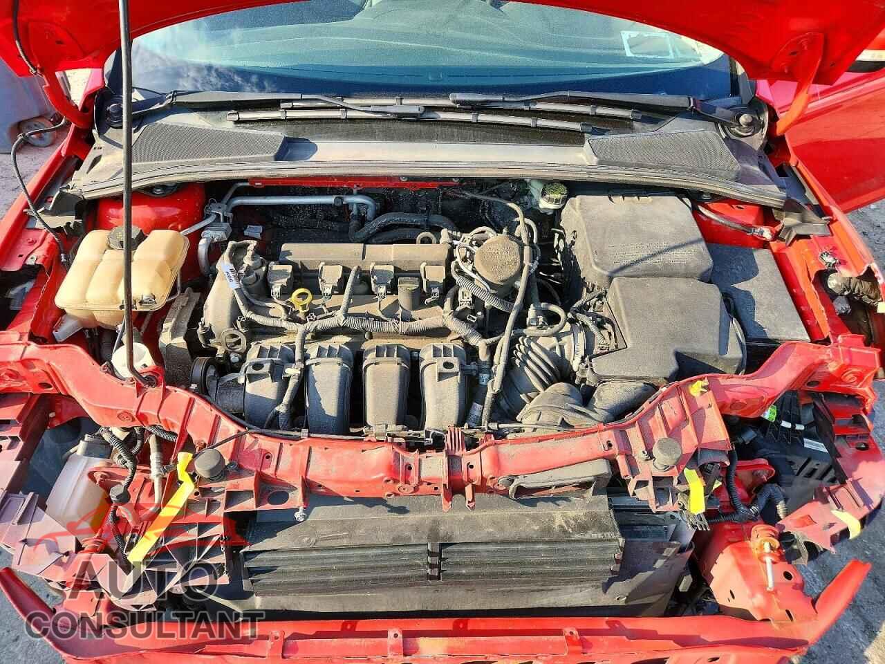 FORD FOCUS 2016 - 1FADP3K21GL321704