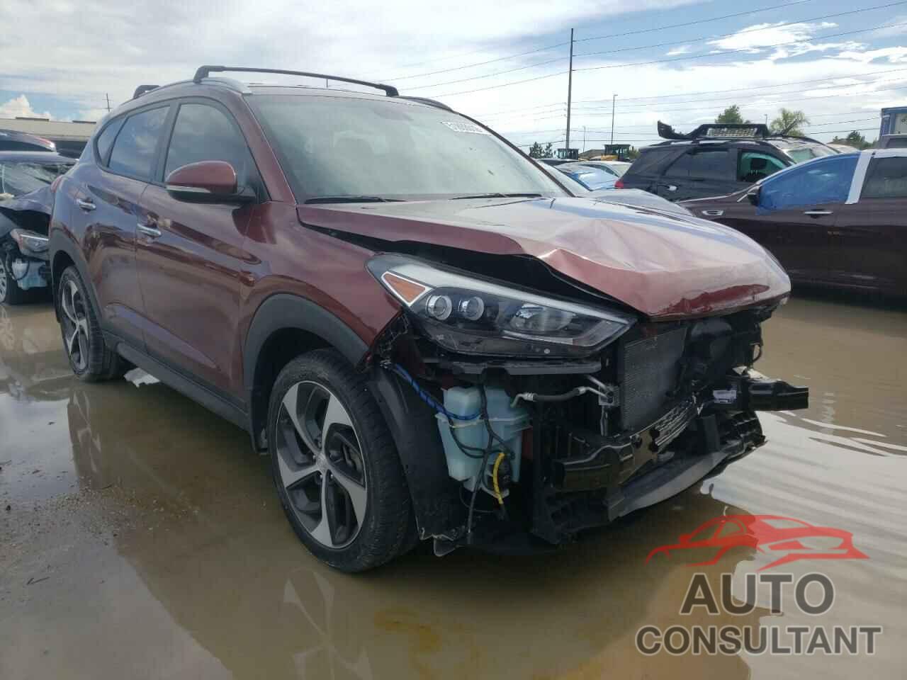 HYUNDAI TUCSON 2016 - KM8J33A27GU147539