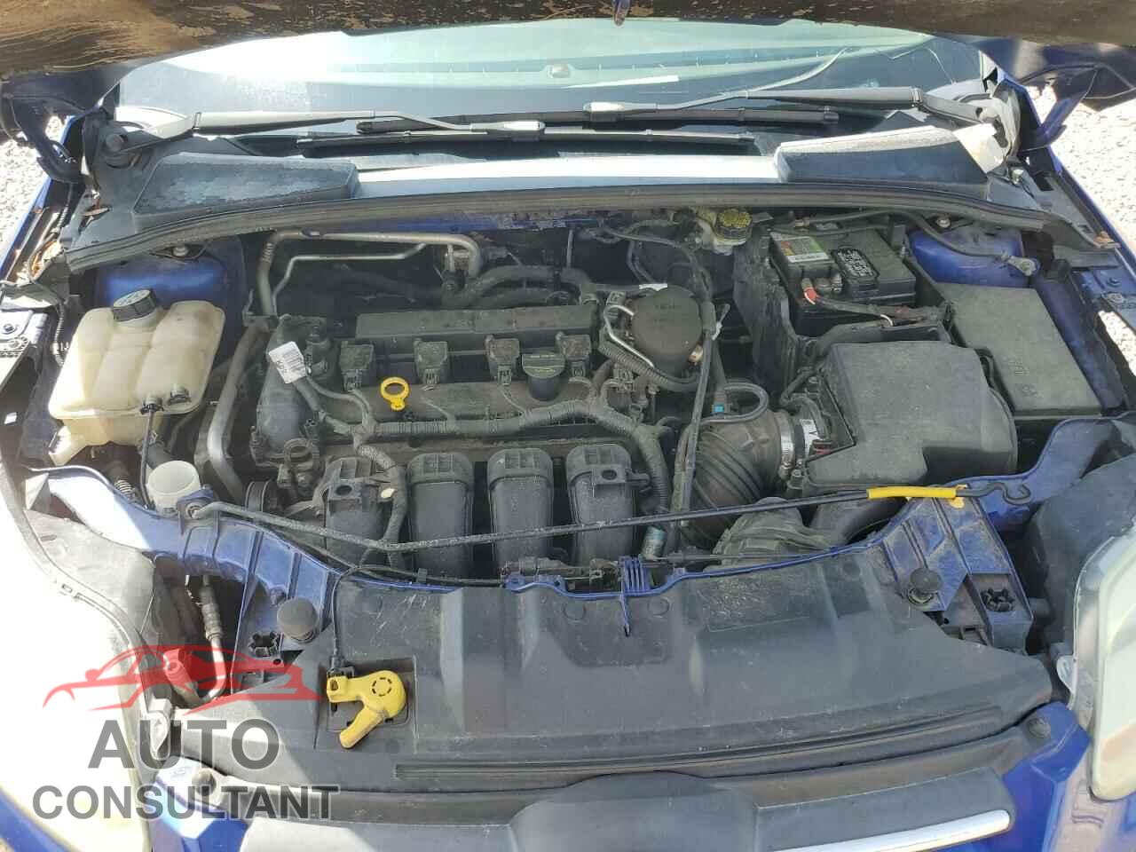 FORD FOCUS 2012 - 1FAHP3F20CL215573