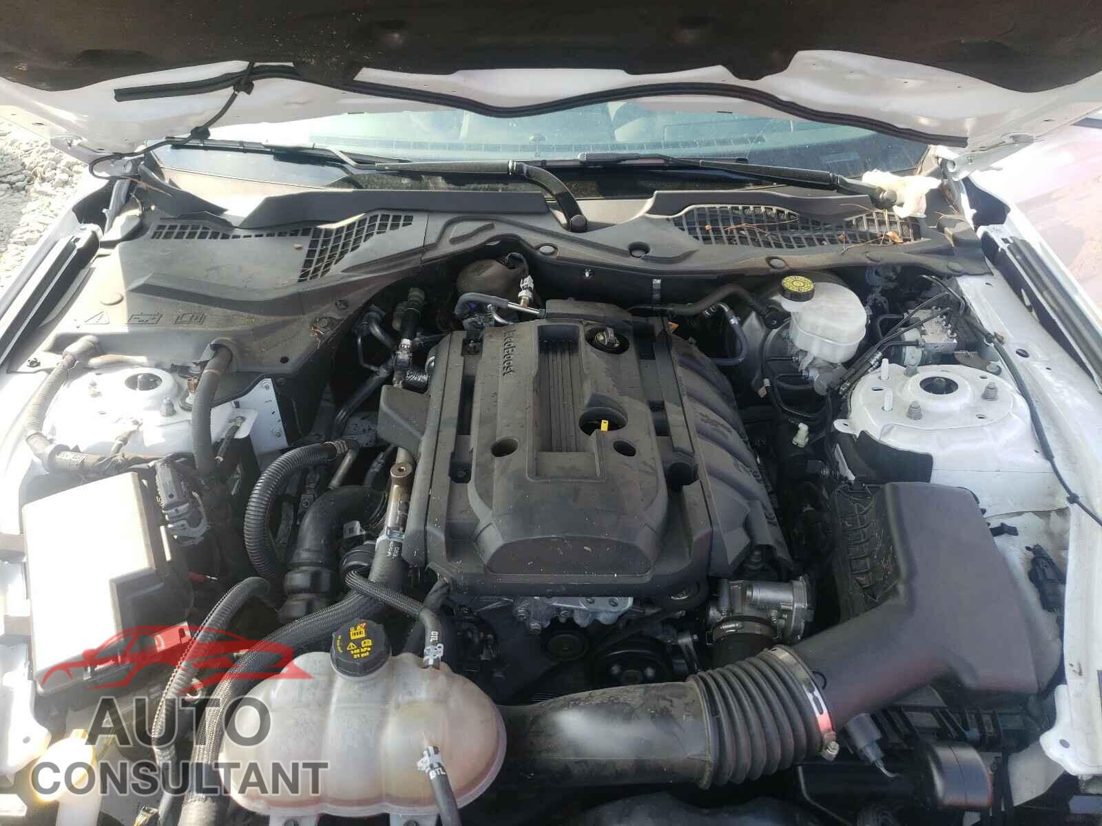 FORD MUSTANG 2019 - 1FA6P8TH1K5166464