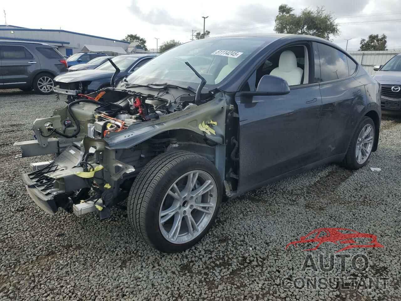 TESLA MODEL Y 2024 - 7SAYGDED9RF092955