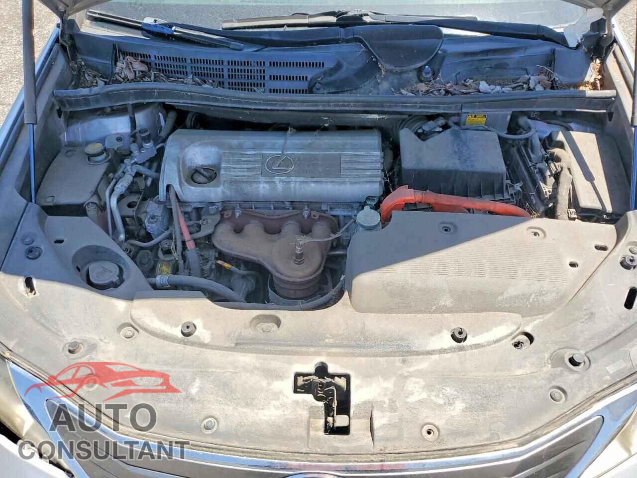 LEXUS HS 2010 - JTHBB1BA2A2026523