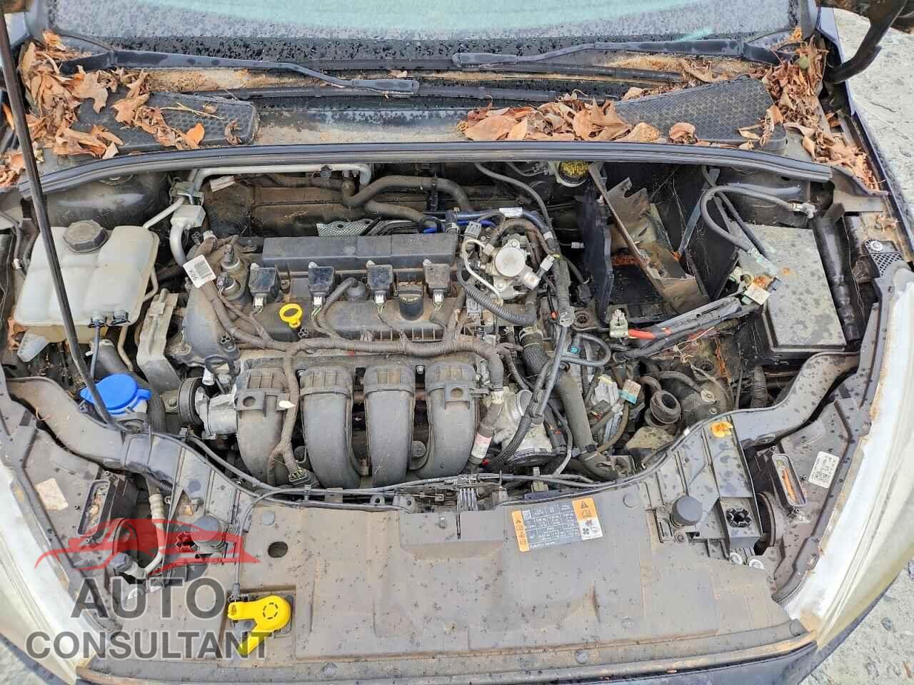 FORD FOCUS 2016 - 1FADP3K29GL376322