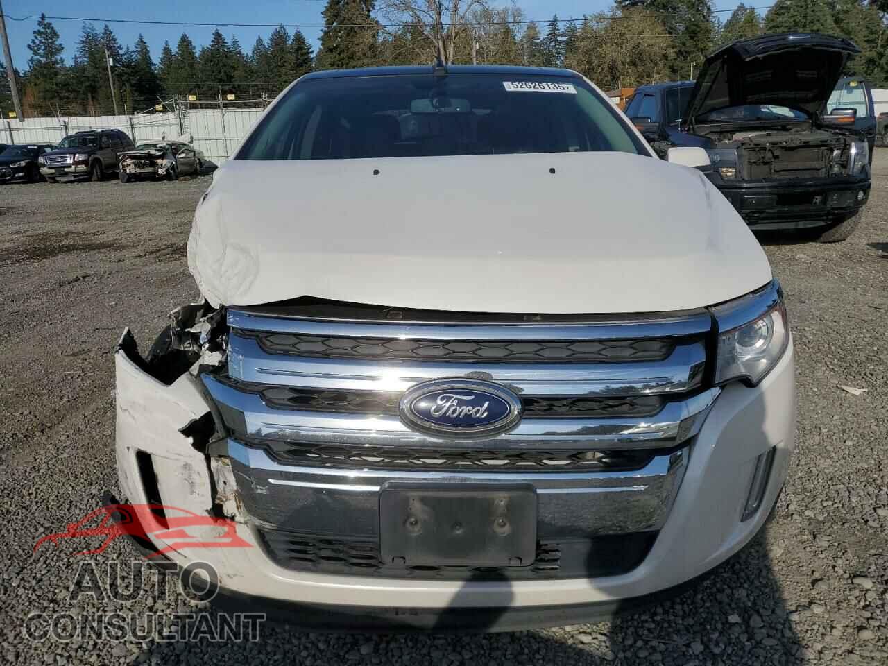 FORD EDGE 2014 - 2FMDK4KC4EBB66405