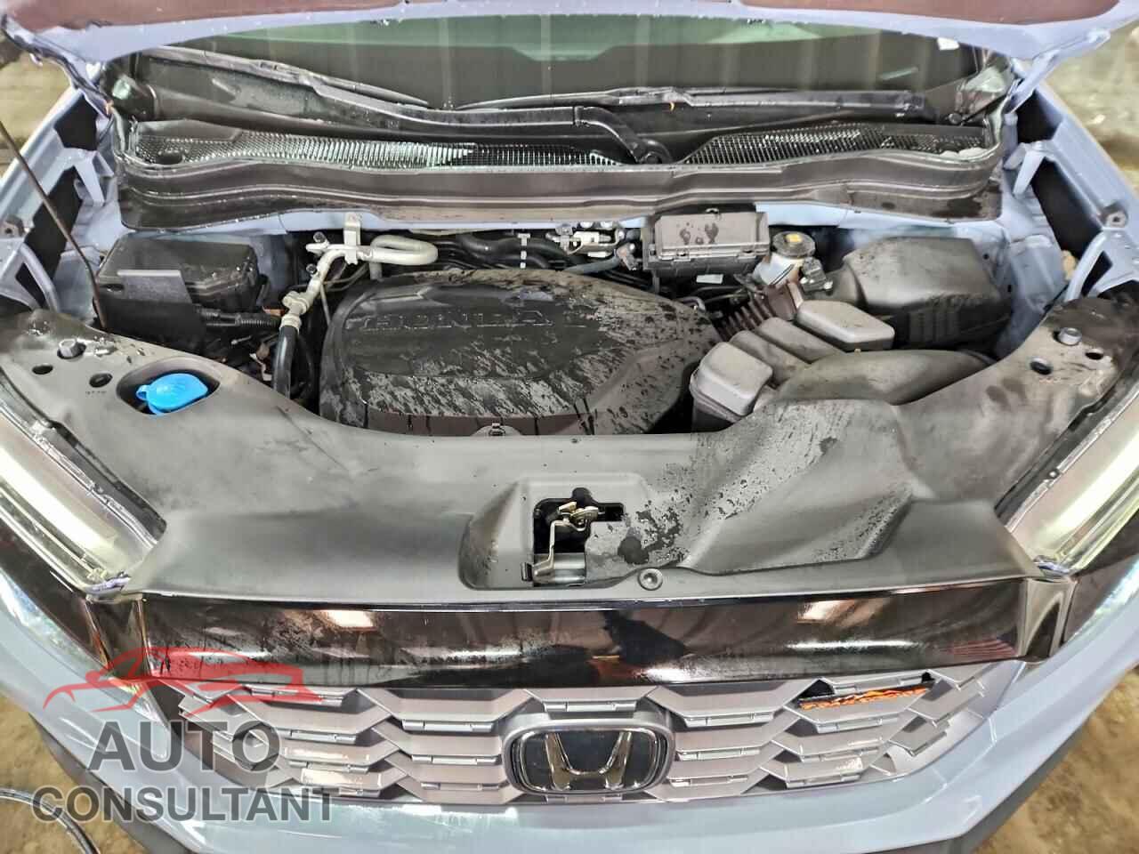 HONDA RIDGELINE 2025 - 5FPYK3F79SB036221