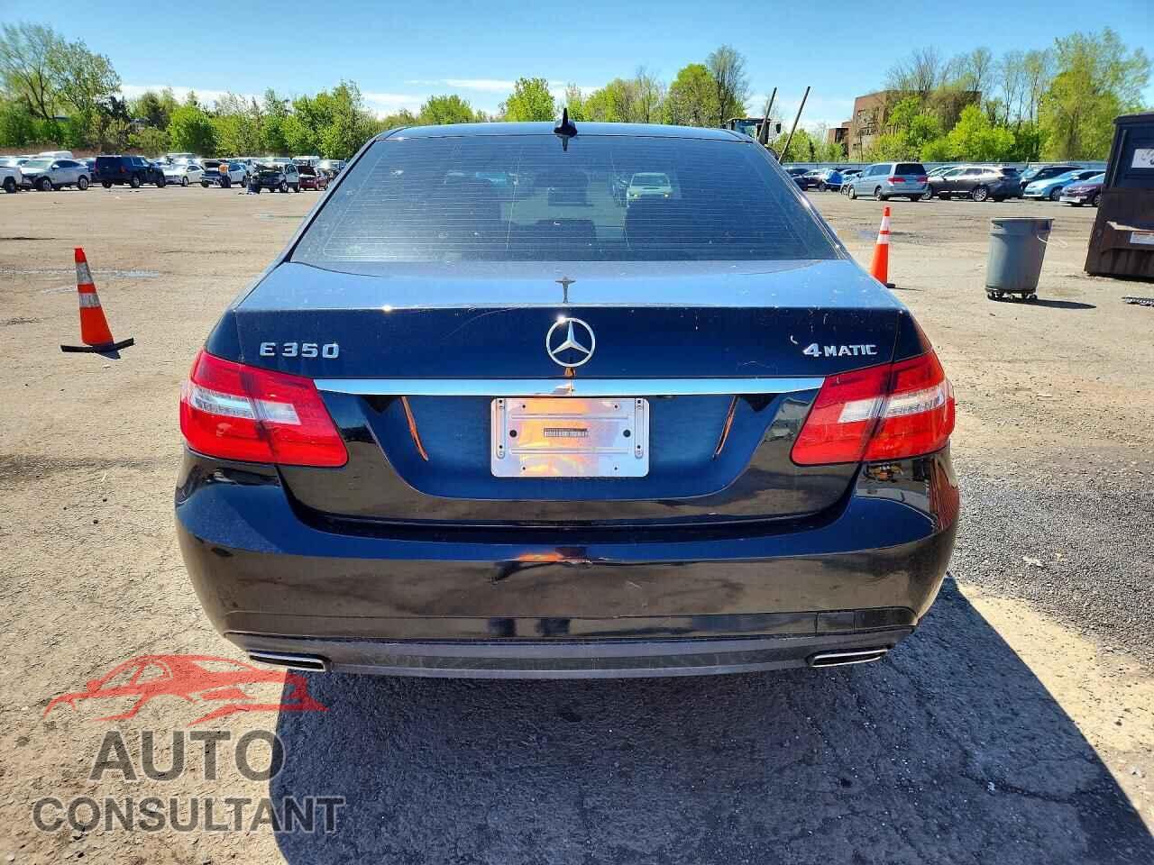 MERCEDES-BENZ E-CLASS 2011 - WDDHF8HB4BA290252