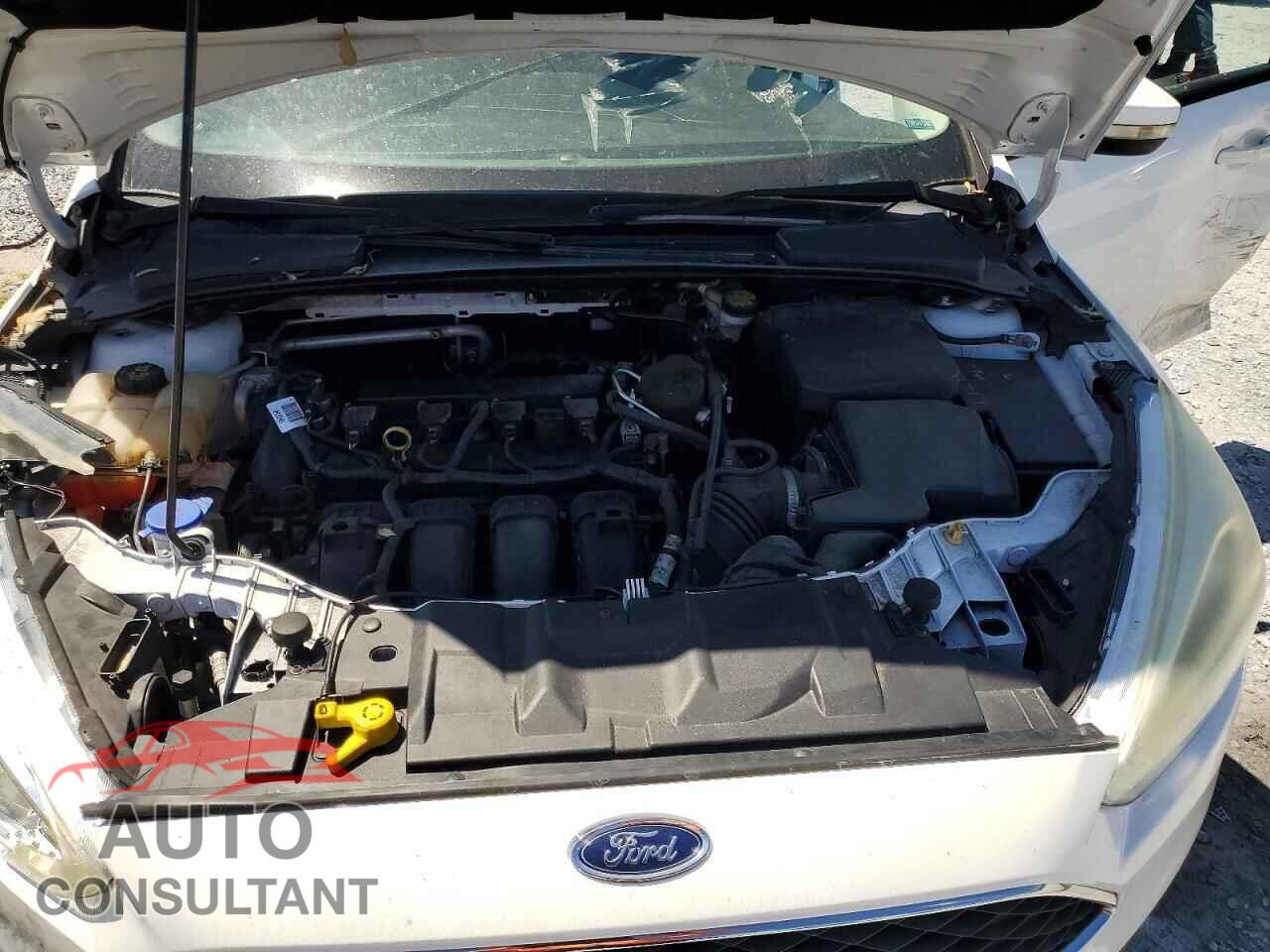 FORD FOCUS 2015 - 1FADP3F23FL205512