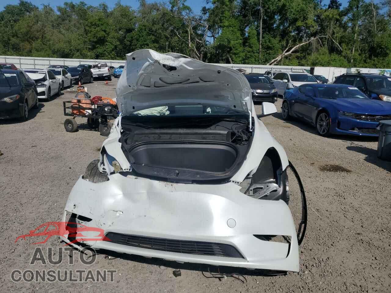 TESLA MODEL Y 2024 - 7SAYGDEF4RF064210