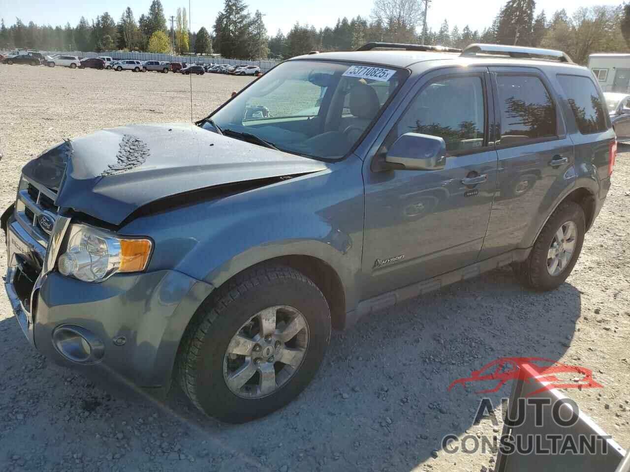 FORD ESCAPE 2010 - 1FMCU5K36AKB08873