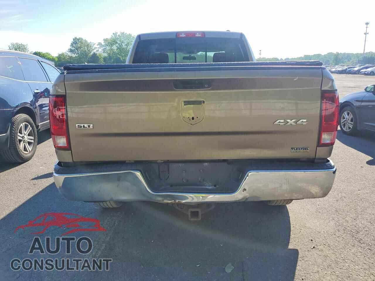 DODGE RAM 1500 2010 - 1D7RV1GP7AS154654