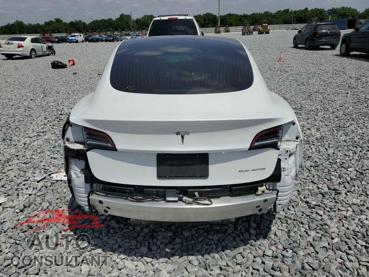 TESLA MODEL 3 2019 - 5YJ3E1EB2KF391185