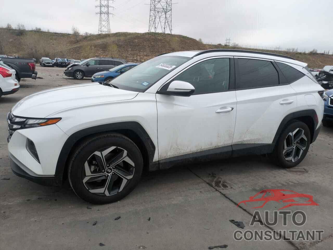 HYUNDAI TUCSON 2024 - 5NMJF3DEXRH311636
