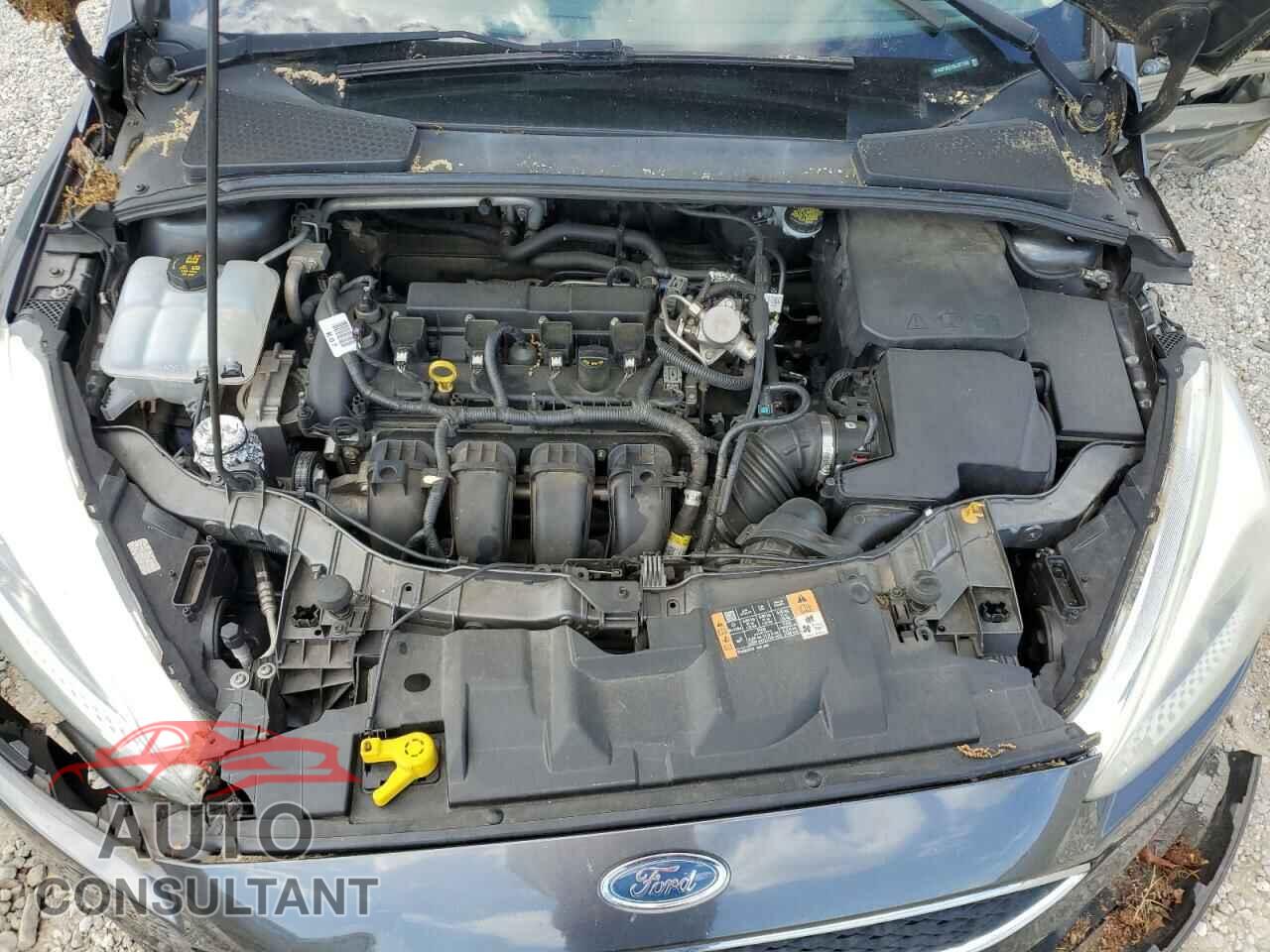 FORD FOCUS 2016 - 1FADP3K21GL377156
