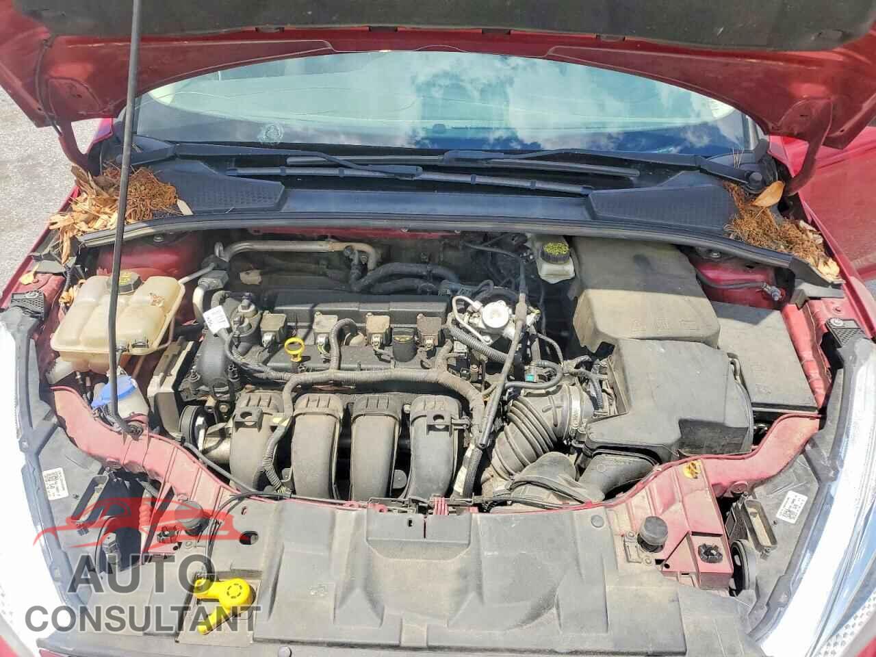 FORD FOCUS 2017 - 1FADP3K29HL297847