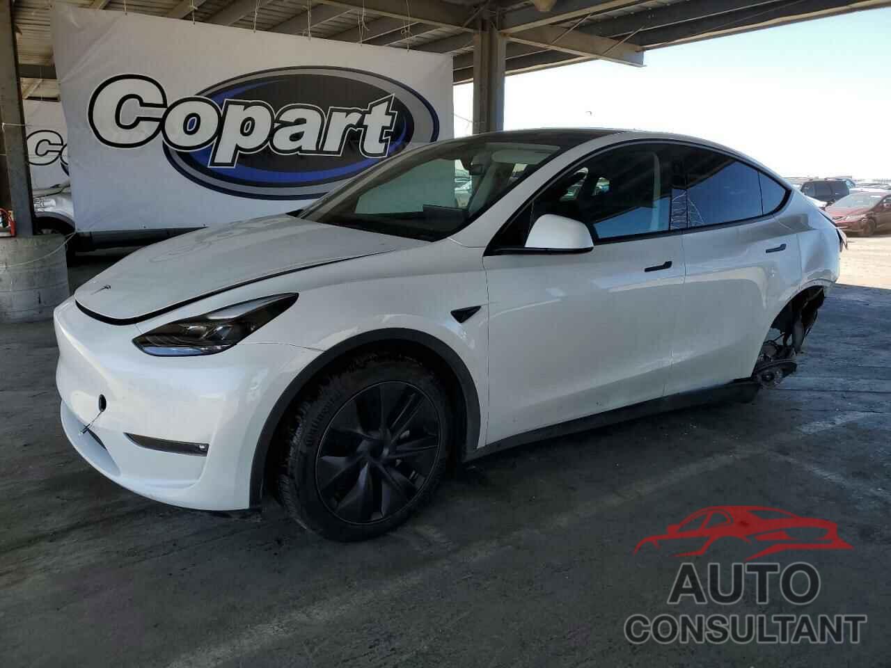 TESLA MODEL Y 2024 - 7SAYGDEEXRF122859