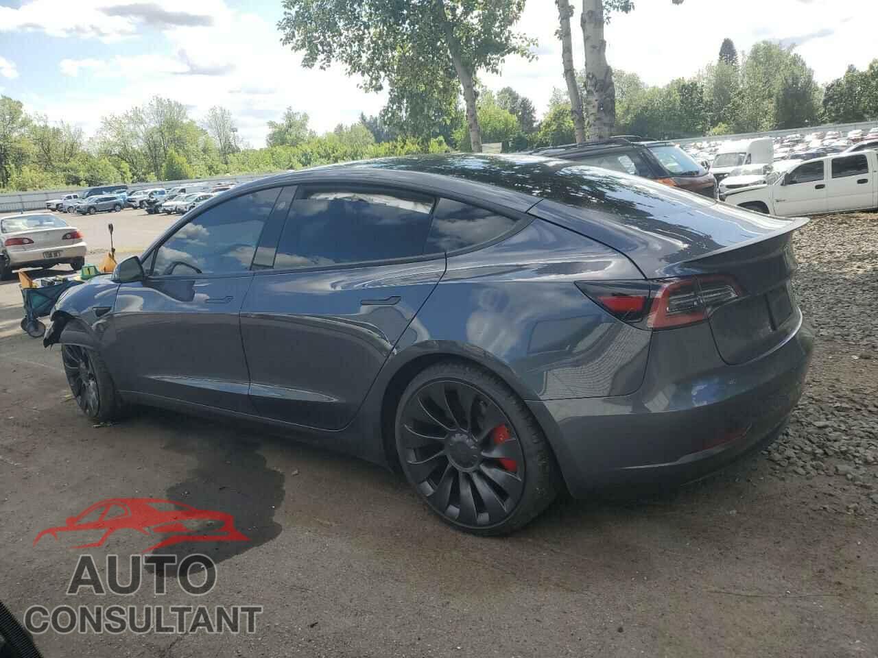 TESLA MODEL 3 2023 - 5YJ3E1EC2PF395060