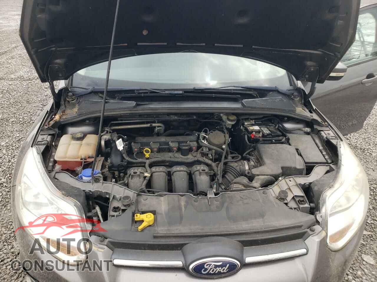 FORD FOCUS 2014 - 1FADP3F24EL105708