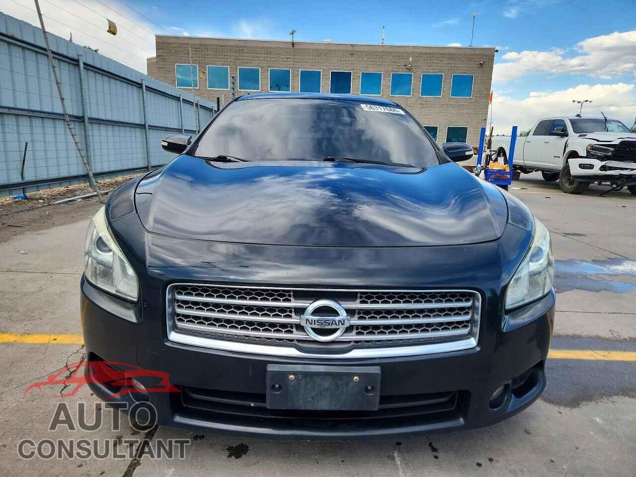 NISSAN MAXIMA 2009 - 1N4AA51E19C833736