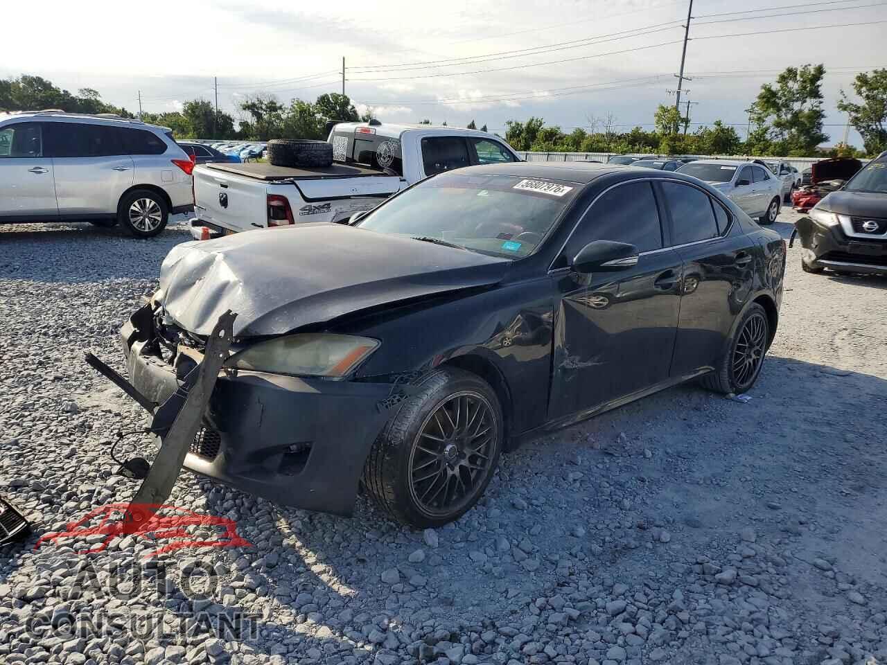 LEXUS IS 2009 - JTHCK262195034877