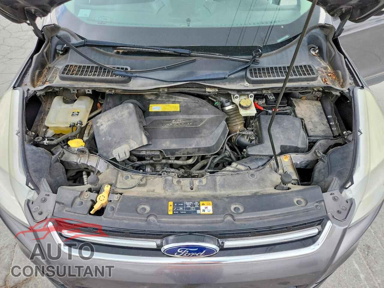 FORD ESCAPE 2013 - 1FMCU0HX1DUA04555