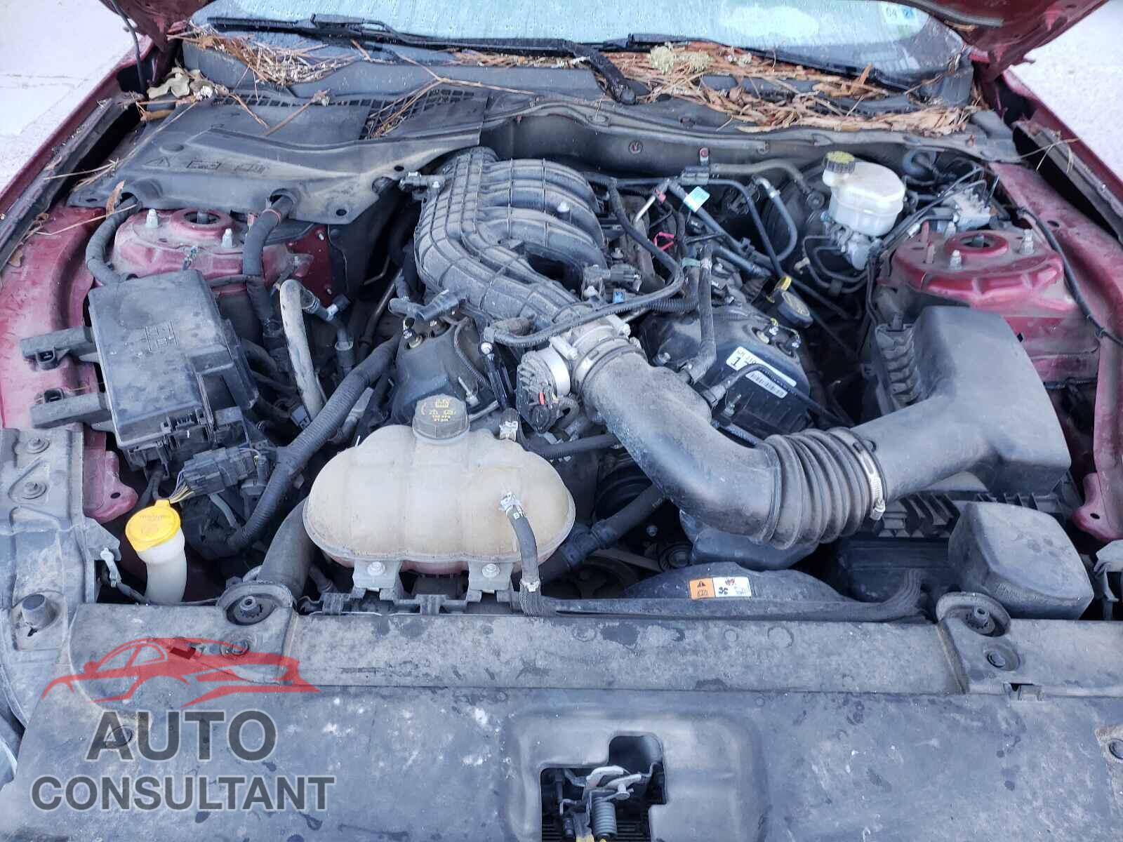 FORD MUSTANG 2017 - 1FA6P8AM3H5305065