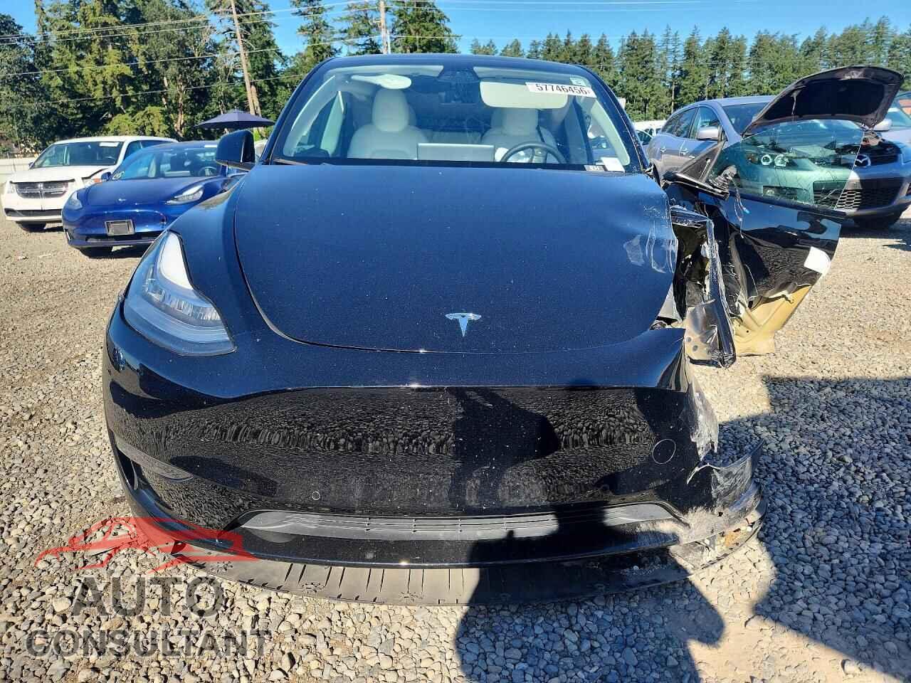 TESLA MODEL Y 2022 - 7SAYGAEE7NF427079