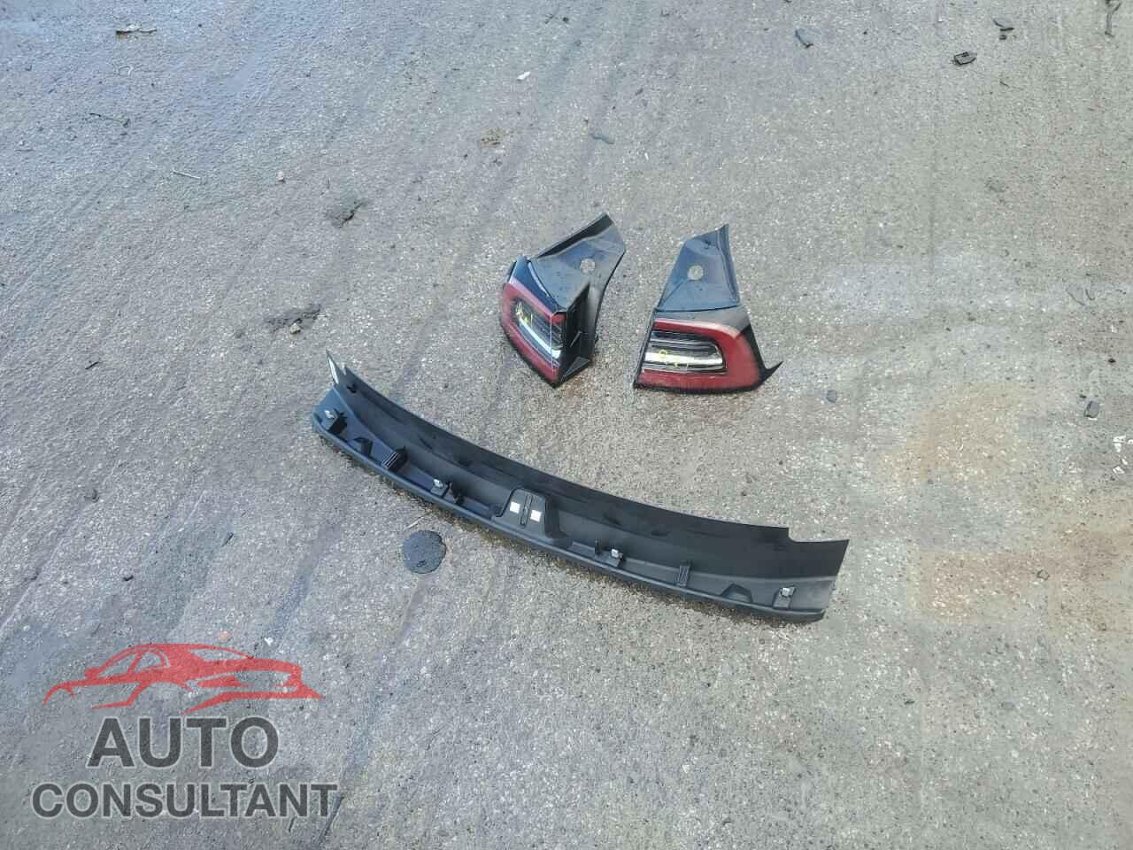 TESLA MODEL 3 2019 - 5YJ3E1EA4KF314616