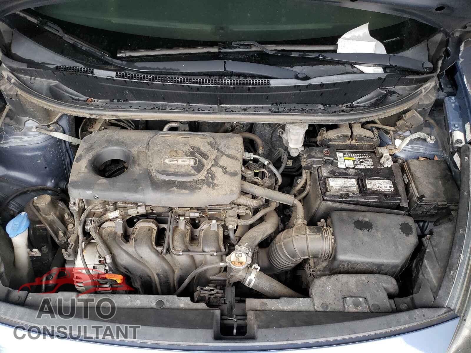 KIA RIO 2016 - KNADM4A34G6662173