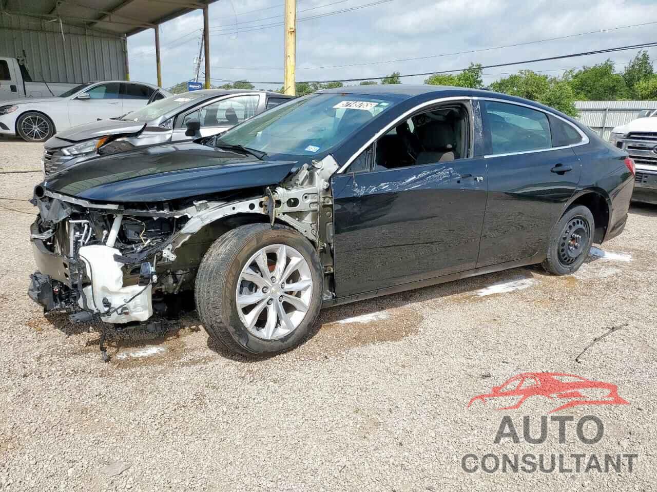 CHEVROLET MALIBU 2019 - 1G1ZD5ST5KF166359