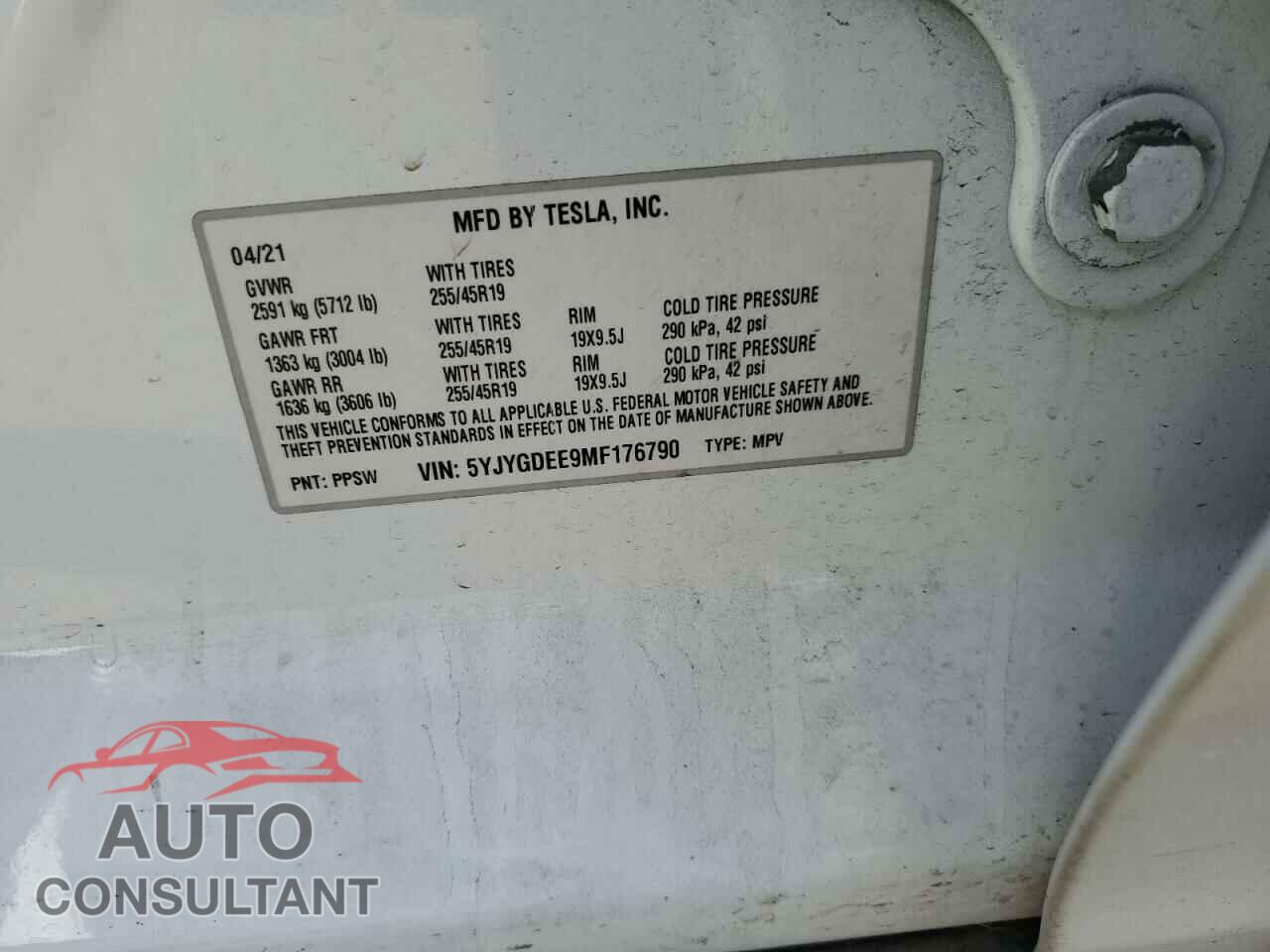 TESLA MODEL Y 2021 - 5YJYGDEE9MF176790