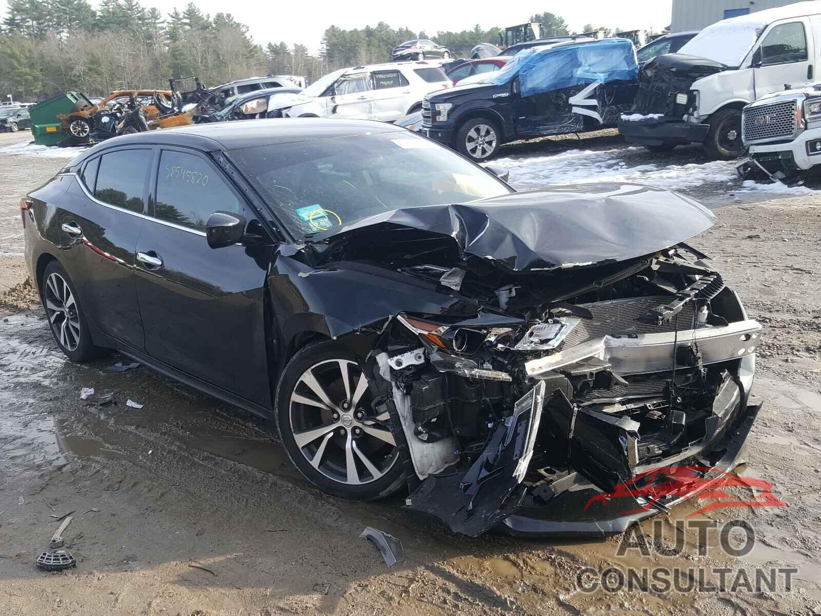 NISSAN MAXIMA 2017 - 1N4AA6AP6HC429515