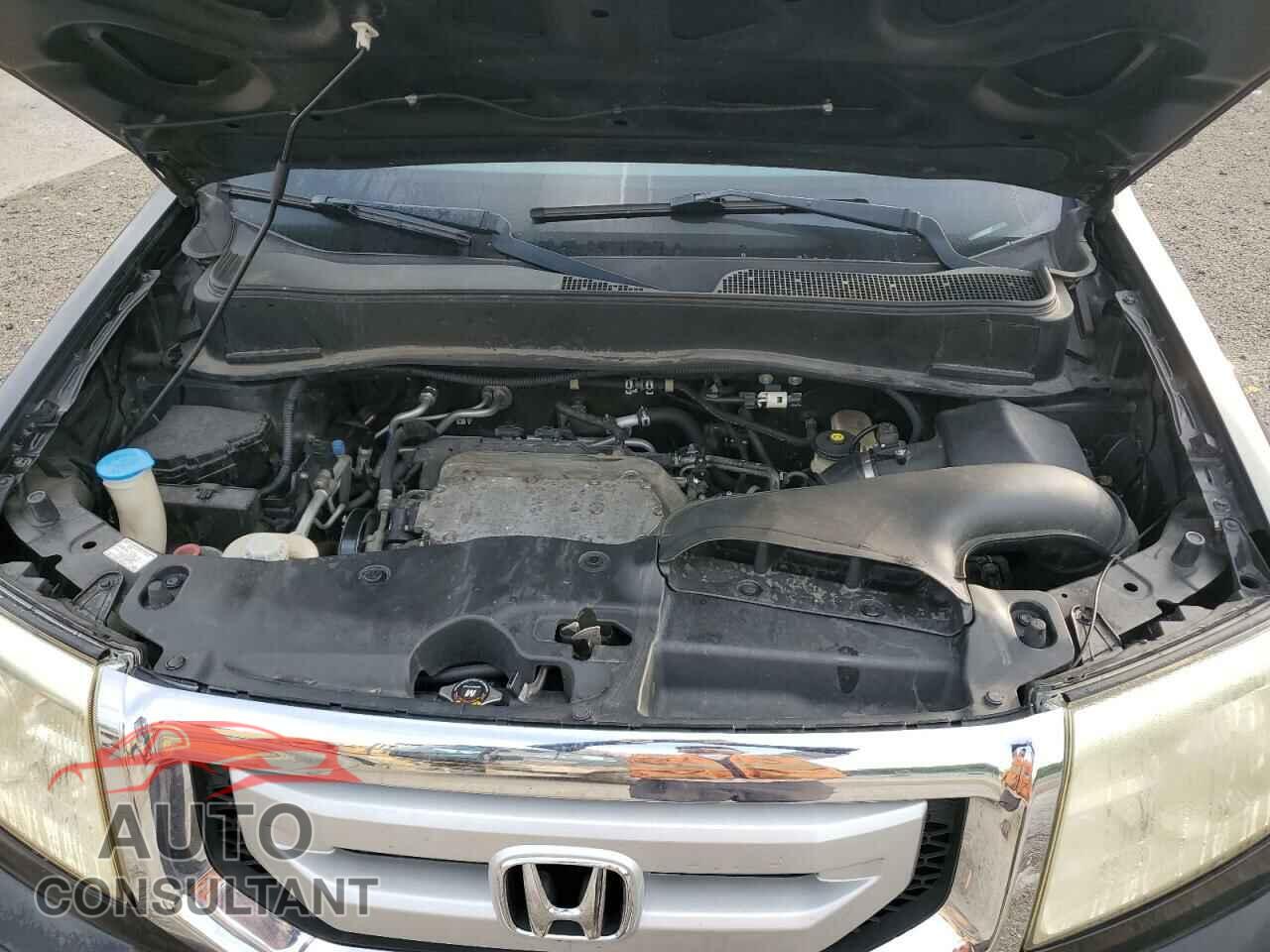 HONDA PILOT 2011 - 5FNYF3H7XBB008891