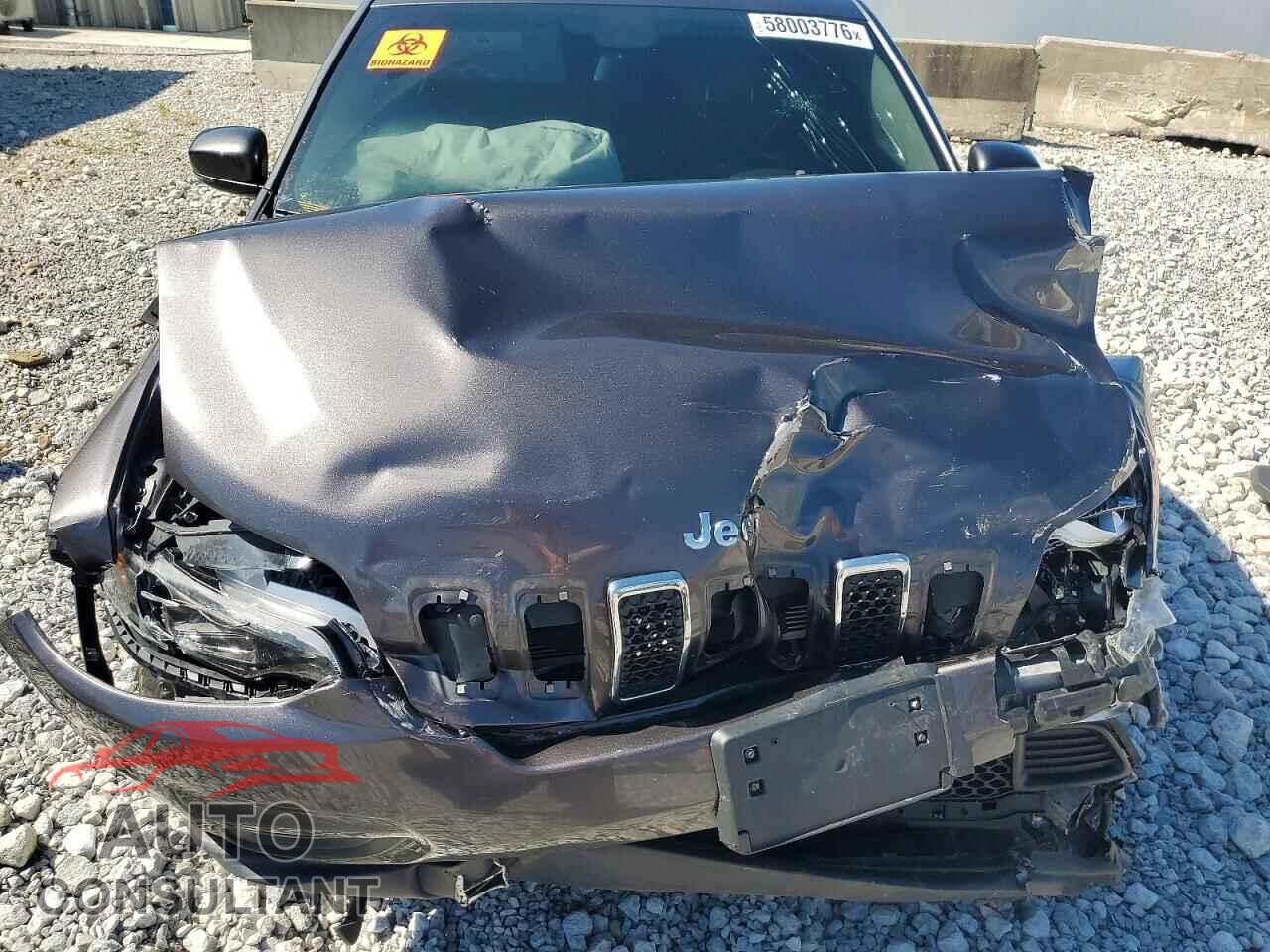 JEEP CHEROKEE 2019 - 1C4PJMLB5KD424690